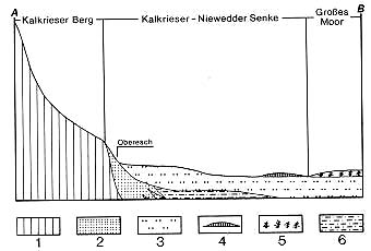 Geologischer Schnitt A-B durch die Kalkrieser-Niewdder Senke